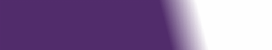 fullv-purple-white
