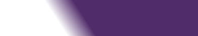 fullv-white-purple