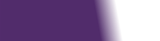 half-purple-white