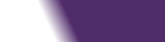 half-white-purple