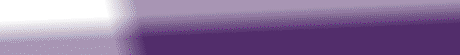 yo-shade-purple